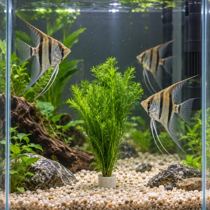 🌿 Emerald Feather Aquatic Grass ✨ Elegant Water Garden Decor