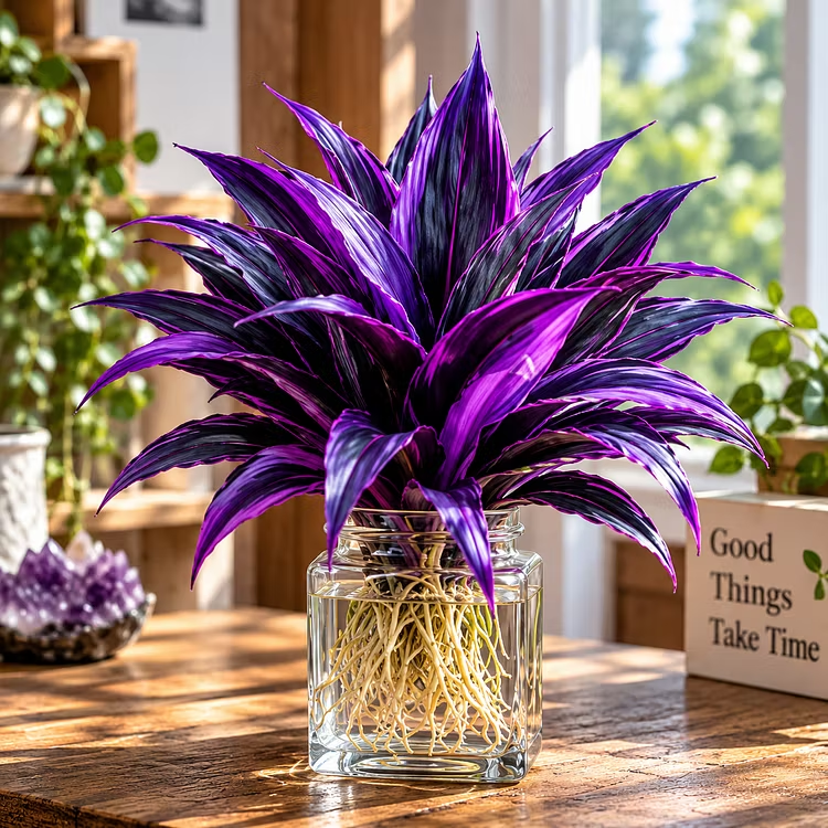 🤗🌿 Rare Colorful Water Plant Bulbs – No Soil Needed, Easy to Grow🌱❤️