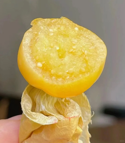 🍅 "Snacks" among fruits - 🤩Golden lantern fruit✨