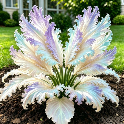 👍New Arrivals👍🌱Rare Swan Feather Hosta Bulbs -🦢 Graceful Foliage That Unfolds Like Swan Wings