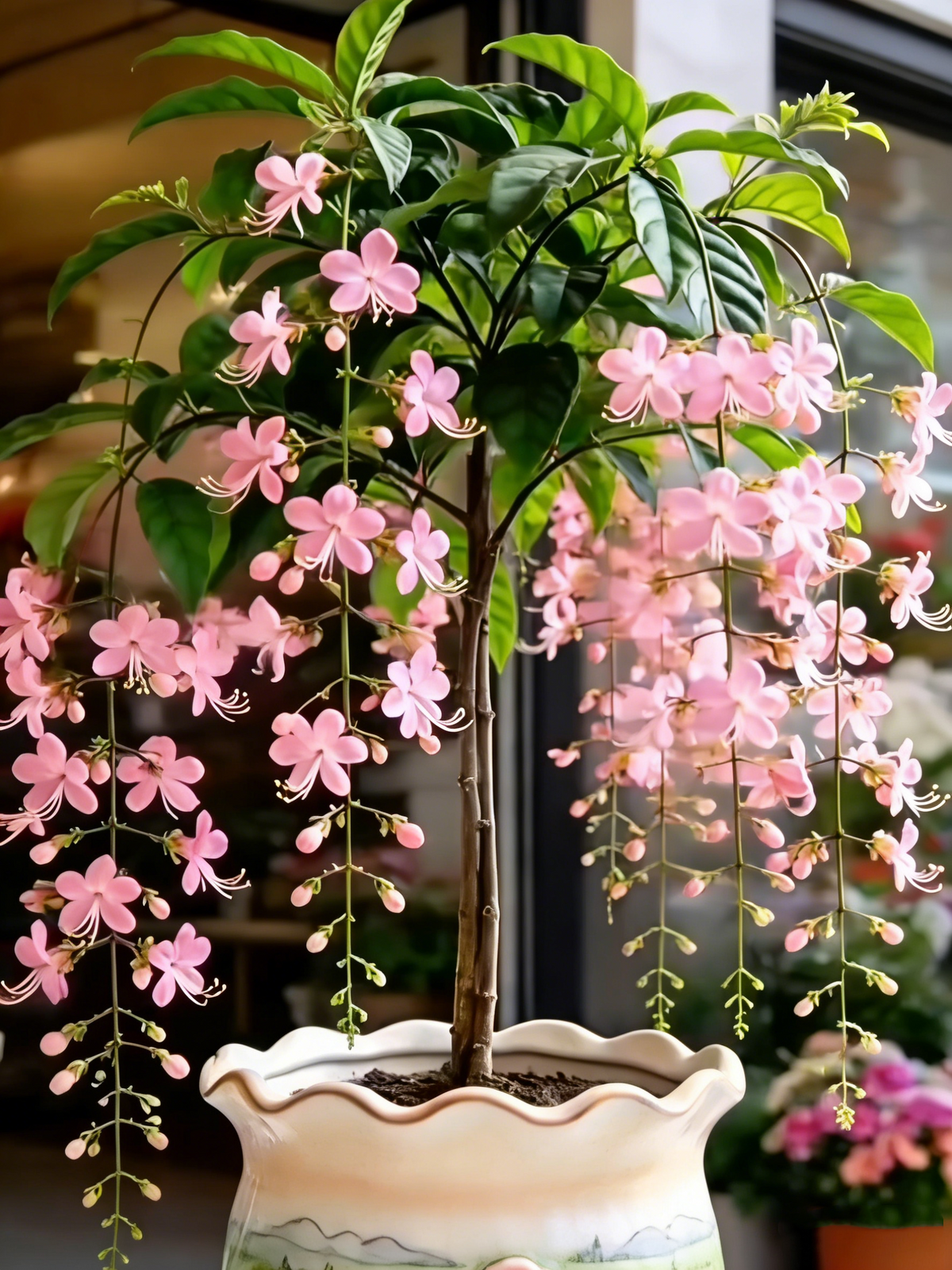 🏅2026 Best Seller💐Rare Weeping Jasmine Flowers Bulbs