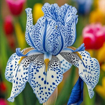 ⚜️Rare Iris Bulbs-Extremely Rare Iris Bulbs –🦋 Grow a Masterpiece