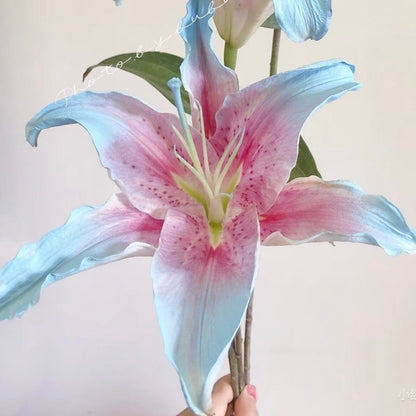🌸Unique Lily Seeds Mix | A Collector’s Choice for Garden Lovers