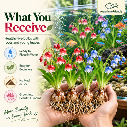 🌸 Water Lily Bells – Colorful Underwater Flower Bulbs for Aquariums 🐠