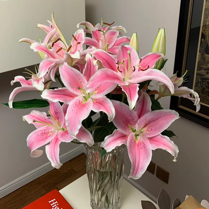 🌸Unique Lily Seeds Mix | A Collector’s Choice for Garden Lovers