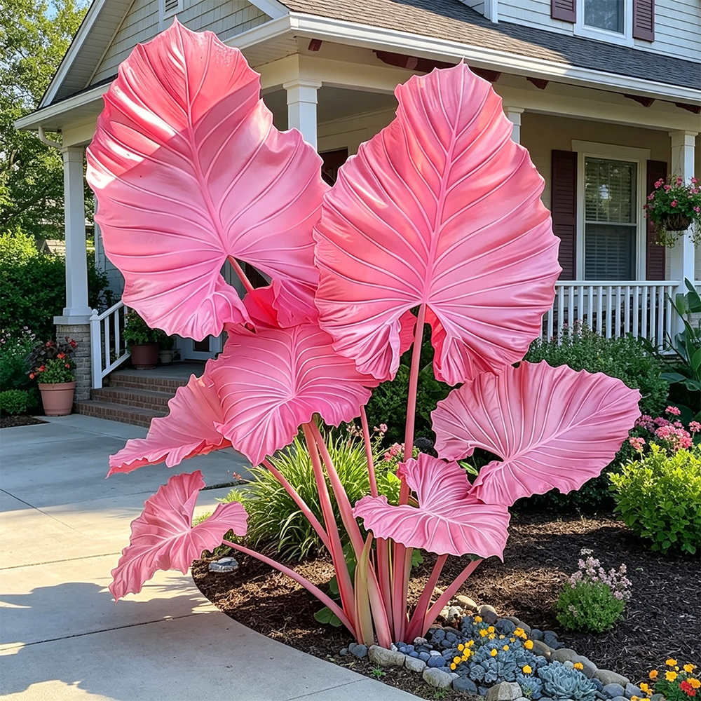 🔥 Premium Giant Caladium Bulbs 🌿🌈 Easy Care & Cold Hardy &Giant Leaves