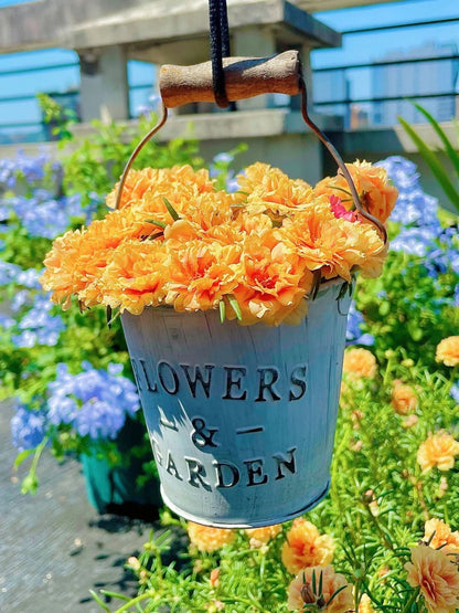 🌸 Portulaca, Moss Rose Double Mixed Colors Seeds