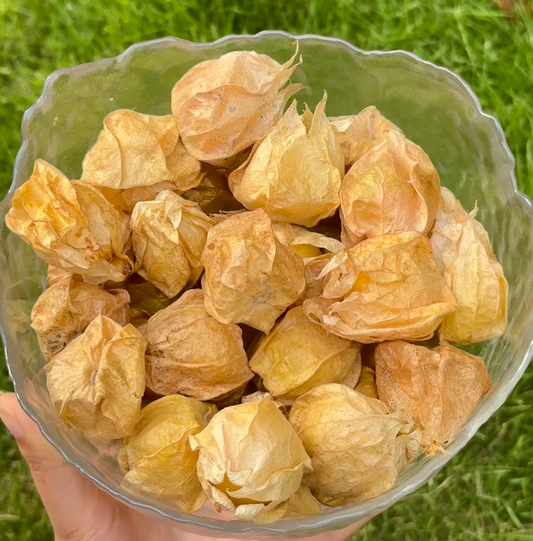 🍅 "Snacks" among fruits - 🤩Golden lantern fruit✨