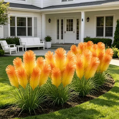 🔥 New Arrival | Mixed Color Pampas Grass Seeds – Grow a Stunning Garden Display