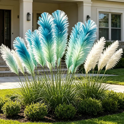 🔥 New Arrival | Mixed Color Pampas Grass Seeds – Grow a Stunning Garden Display