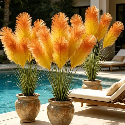 🔥 New Arrival | Mixed Color Pampas Grass Seeds – Grow a Stunning Garden Display