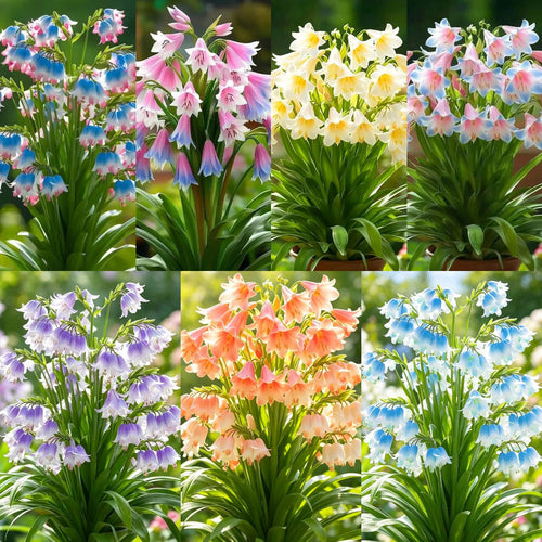 💖 Hanging Lily of the Valley 🌸 Instantly Add Elegance to Any Space