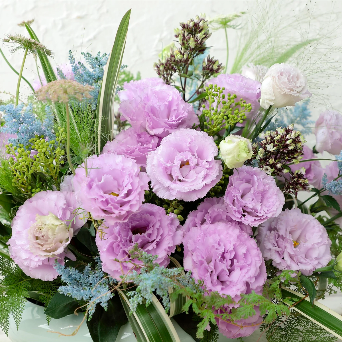 Eustoma / Lisianthus Grandiflorum Seeds - Thornless Rose-60% OFF