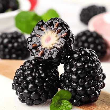 🔥Sweet Giant Blackberry Seeds