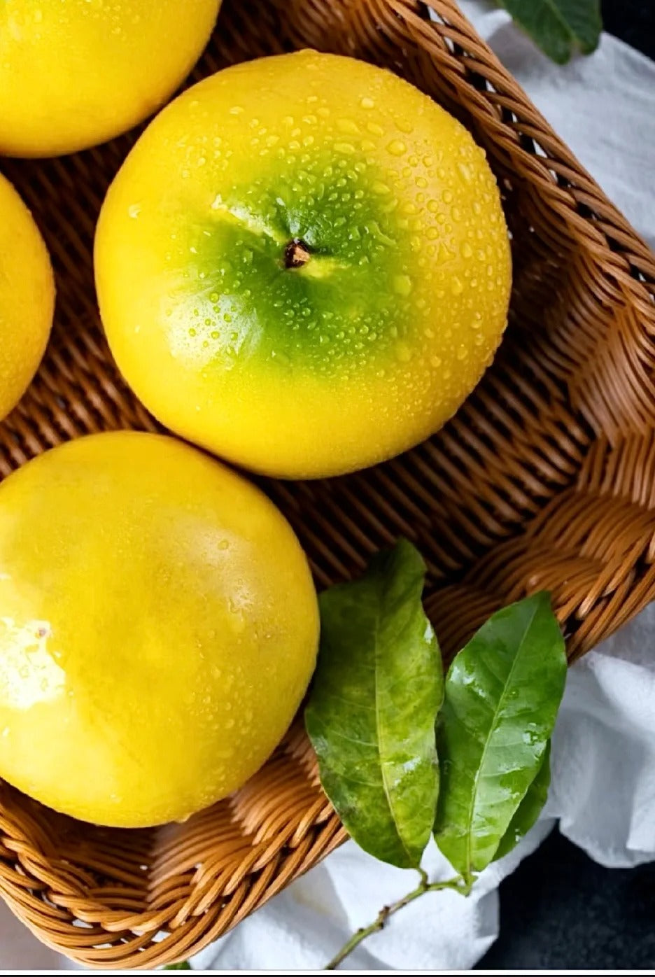 🔥50% Discount 🥭🥭Golden Fruit Seeds - Abiu Fruit