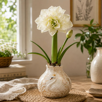 🤗🌺 Double Amaryllis Bulbs – No Soil, No Water, Just Watch Them Bloom