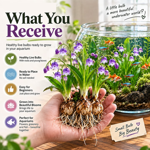 🌸 Water Lily Bells – Colorful Underwater Flower Bulbs for Aquariums 🐠