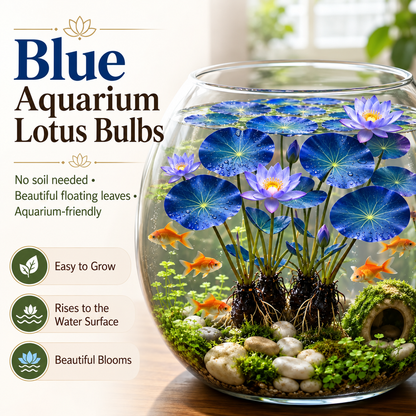 🐟Hydroponic red lotus roots🌿 Turn Your Aquarium into a Living Garden