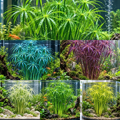 🌿 Hydroponic Water Bamboo Grass – Easy-Grow Green Aquarium & Pond Plant