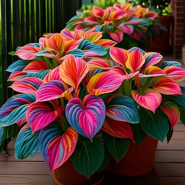 🔥Premium Hosta Seeds🌸Easy to Grow, Comes Back Every Year ✨ Perfect for Beginners