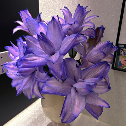 🌸Unique Lily Seeds Mix | A Collector’s Choice for Garden Lovers