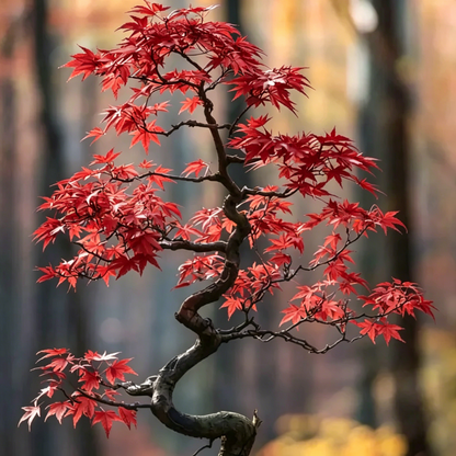 💙 Sapphire Maple Seeds 🌿 Grow Stunning Blue Foliage This Season