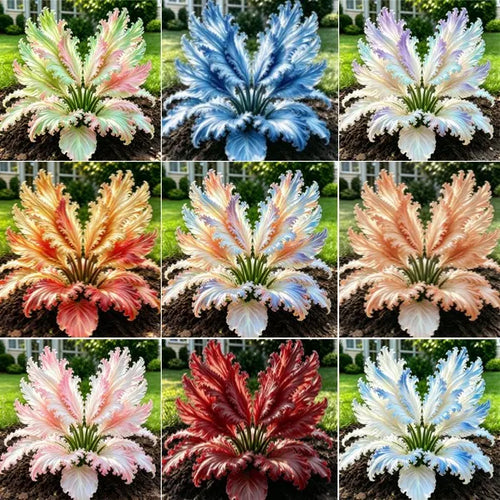 👍New Arrivals👍🌱Rare Swan Feather Hosta Bulbs -🦢 Graceful Foliage That Unfolds Like Swan Wings