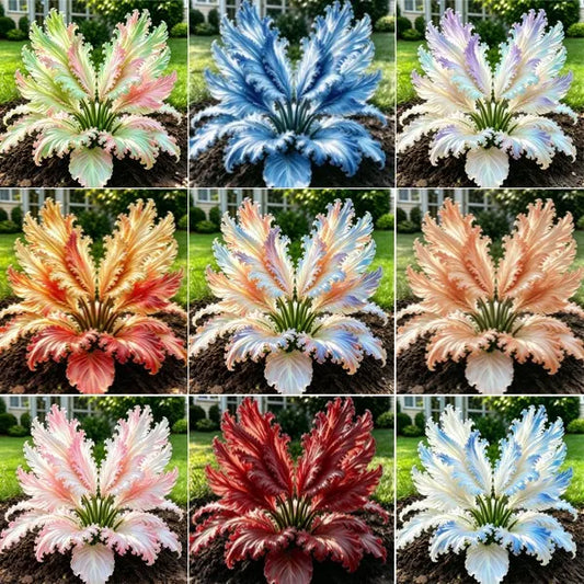 👍New Arrivals👍🌱Rare Swan Feather Hosta Bulbs -🦢 Graceful Foliage That Unfolds Like Swan Wings