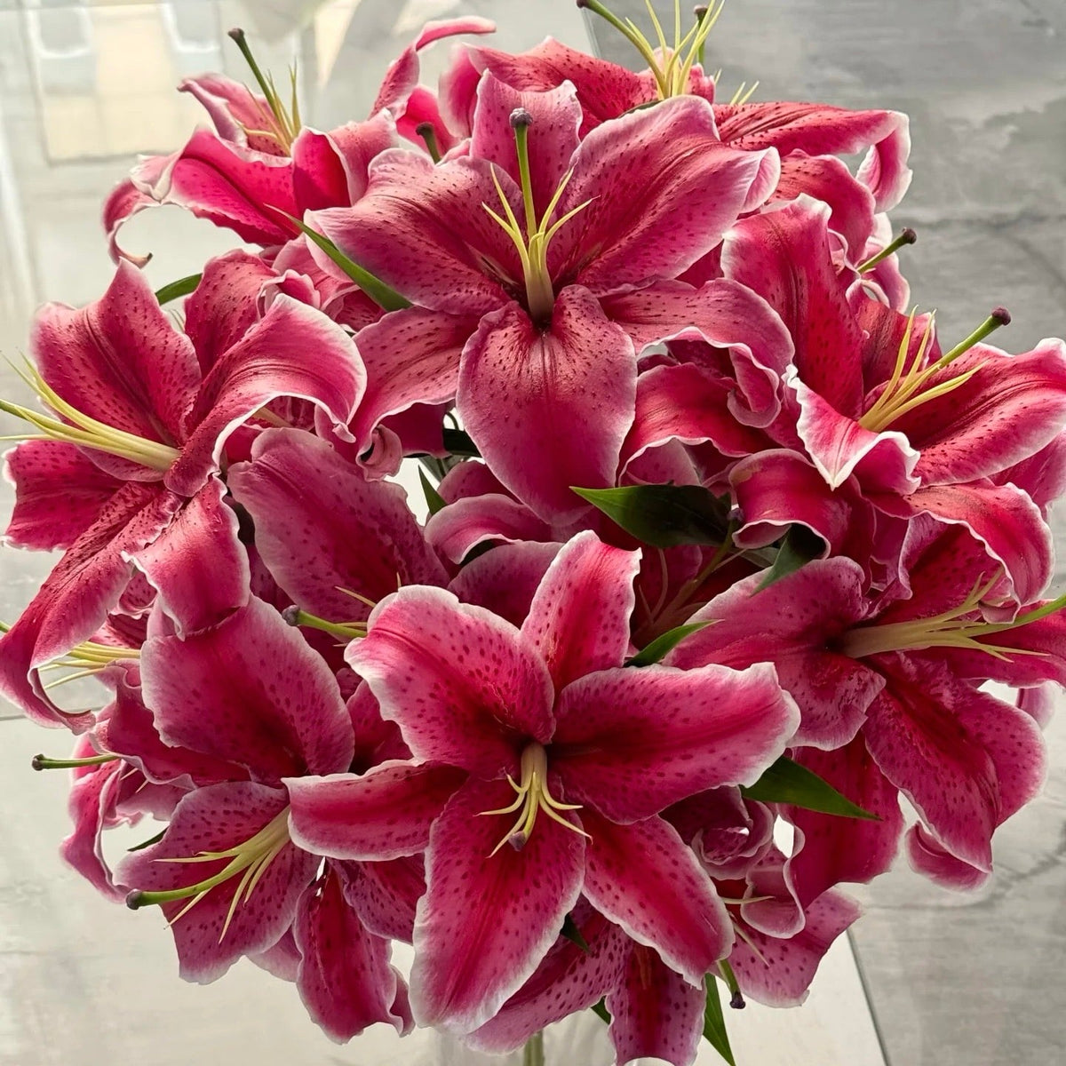 🌸Unique Lily Seeds Mix | A Collector’s Choice for Garden Lovers