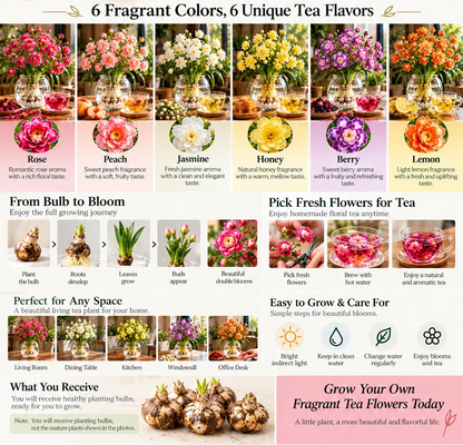 🌸 Rare Double Tea Flower Bulbs – Layered Blooms for Garden & Planters 🏡🍵