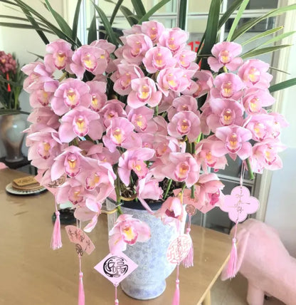 👑 The Queen of Orchids — Long-Lasting Cymbidium Bulbs