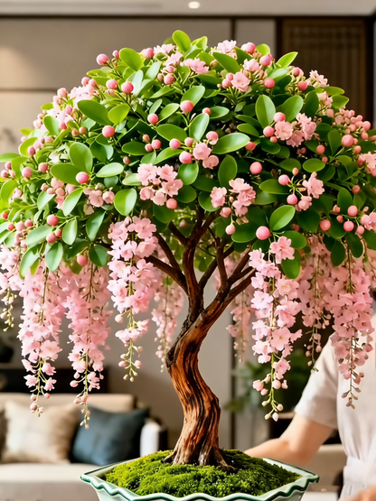 🏅2026 Best Seller💐Rare Weeping Jasmine Flowers Bulbs