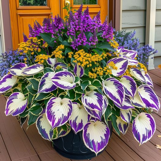 🔥Premium Hosta Seeds🌸Easy to Grow, Comes Back Every Year ✨ Perfect for Beginners