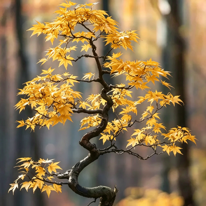 💙 Sapphire Maple Seeds 🌿 Grow Stunning Blue Foliage This Season