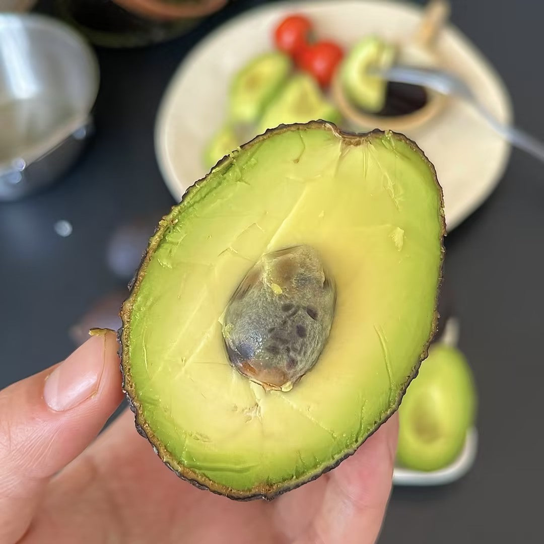 🍴 😍From Mini to Long-Neck🥑 Discover Extraordinary Avocados