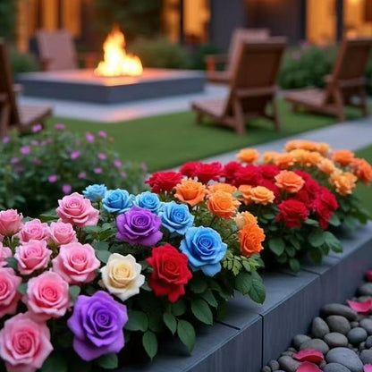 🌹 Plant 200 Seeds. Grow a Garden Full of Roses.  Mixed Rose Seeds for a Colorful Garden