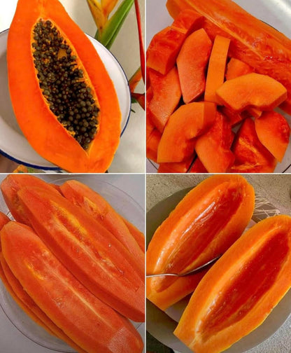 🥭 Rare Dragon Claw Papaya – Nourish Your Body, Support Everyday Wellness