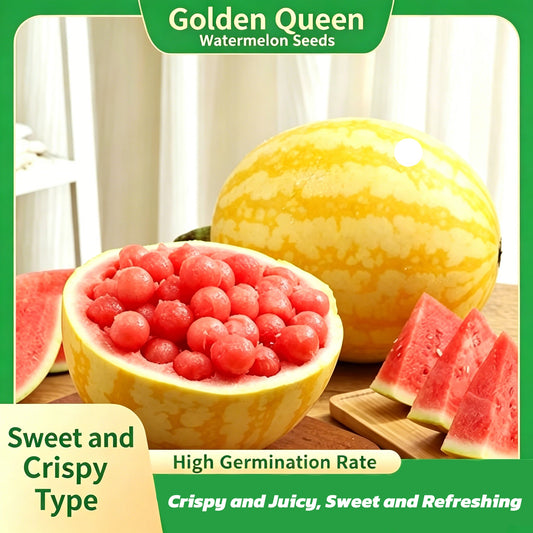 🍉🍹Golden Red Watermelon Seeds