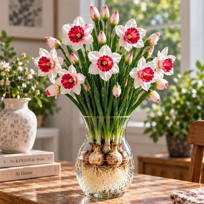 🌼 Colorful Hydroponic Mini Daffodil Bulbs – Grow a Bouquet Right in Water