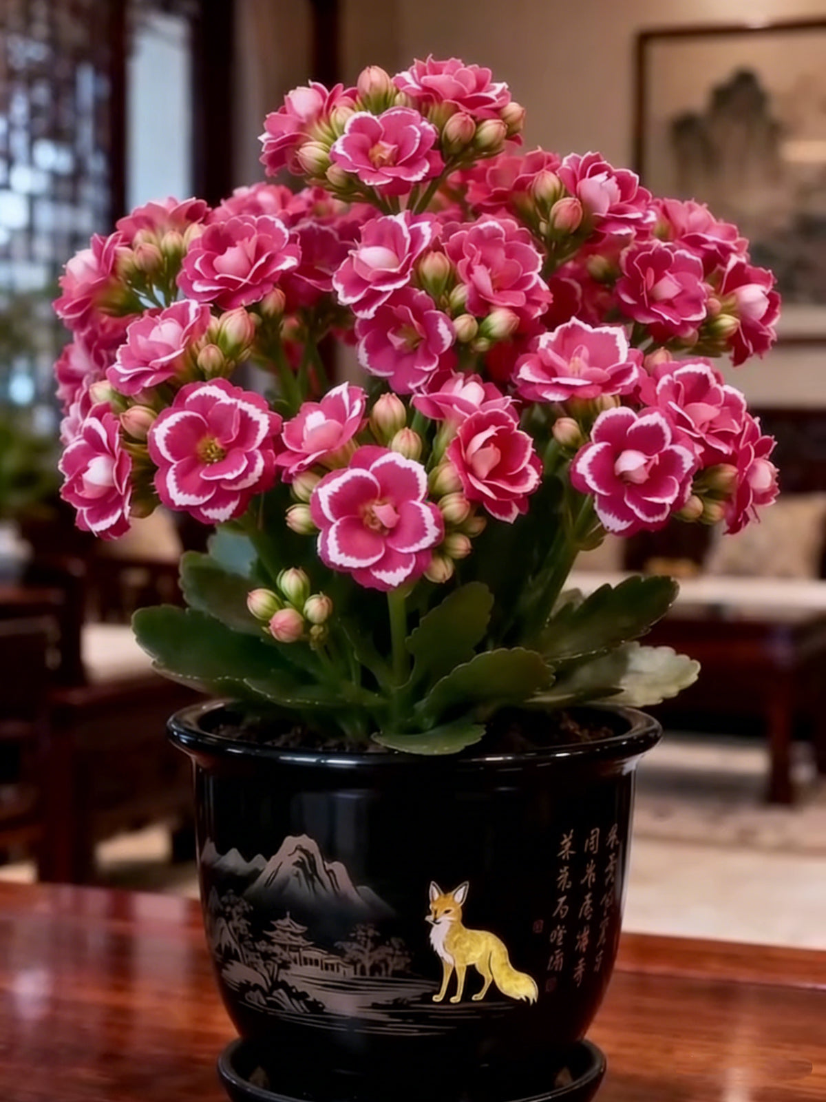 💮🏡Four Seasons Flowering & Attractive Flower Colors - Double Kalanchoe🪴