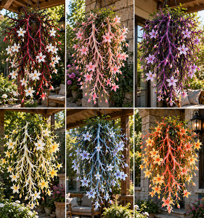 🦌 Stunning Staghorn Weeping Jasmine Bulbs – Cascading Antler-Shaped Blooms🌼