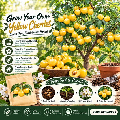 🍒 Juicy Pink Cherry Seeds – Small Fruit, Big Sweet Flavor