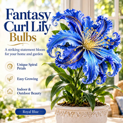 🌸 Fantasy Curl Lily Bulbs – Giant Spiral Blooms for Water & Soil Growing! 💧🌱