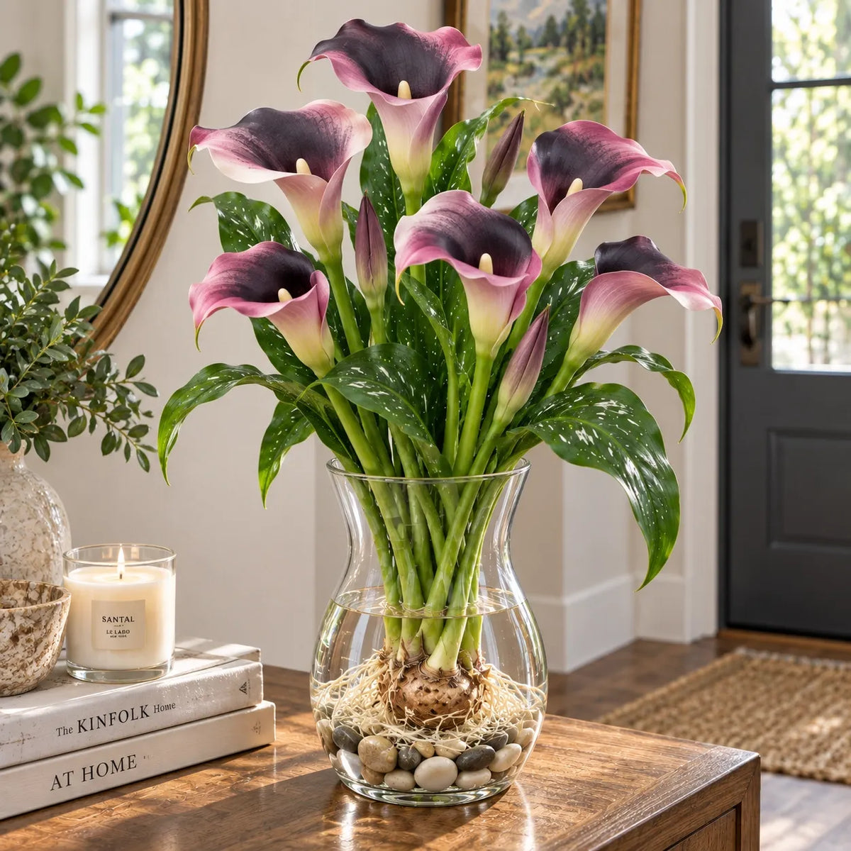 🌈🌸 Rare hydroponic Multicolor Calla Lily Bulbs
