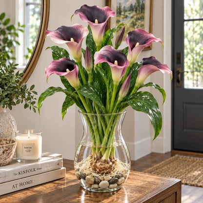 🌈🌸 Rare hydroponic Multicolor Calla Lily Bulbs