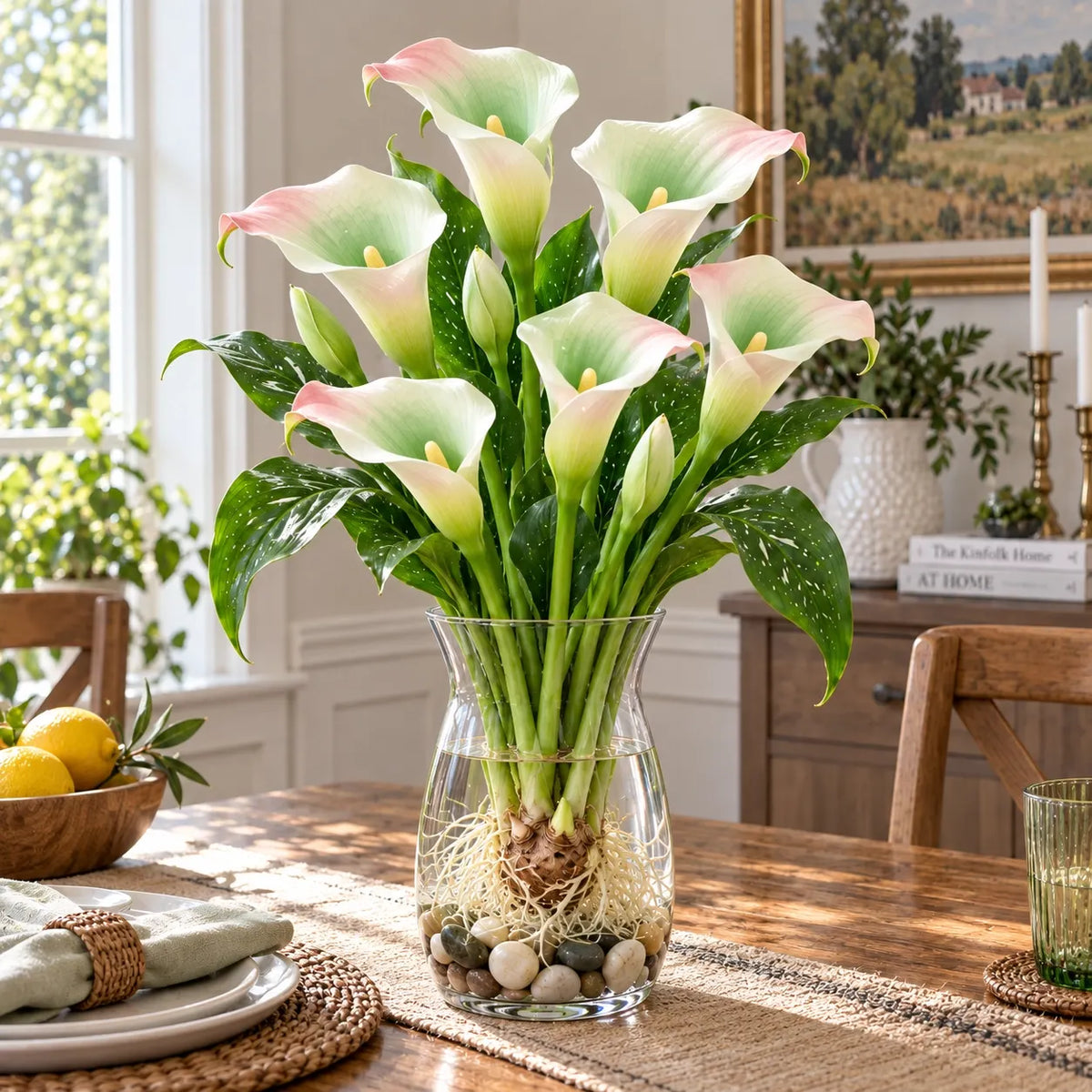 🌈🌸 Rare hydroponic Multicolor Calla Lily Bulbs