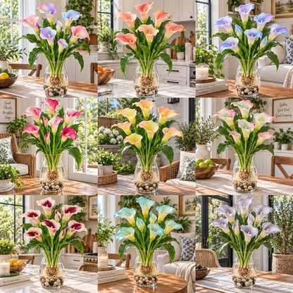 🌈🌸 Rare hydroponic Multicolor Calla Lily Bulbs