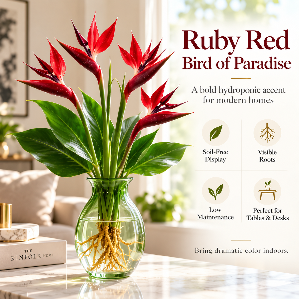 🕊️Hydroponic bird of paradise, from bulb to flowering, is incredibly therapeutic.