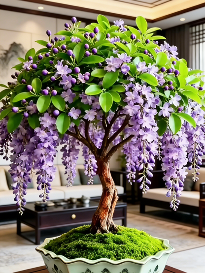 🏅2026 Best Seller💐Rare Weeping Jasmine Flowers Bulbs