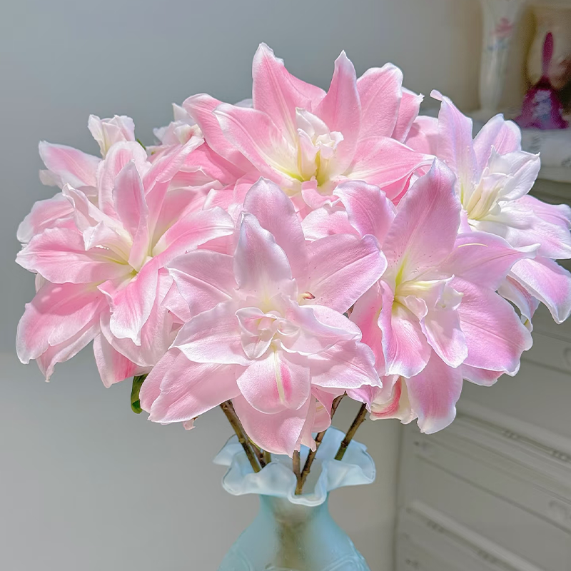 🌸Unique Lily Seeds Mix | A Collector’s Choice for Garden Lovers